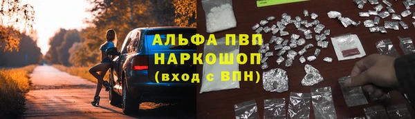 метадон Алексин