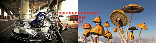сатива Алзамай