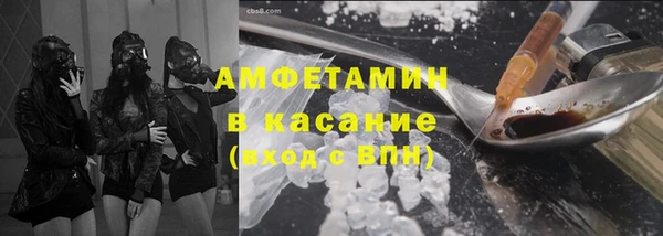 сатива Алзамай