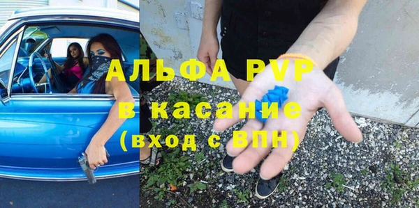 сатива Алзамай
