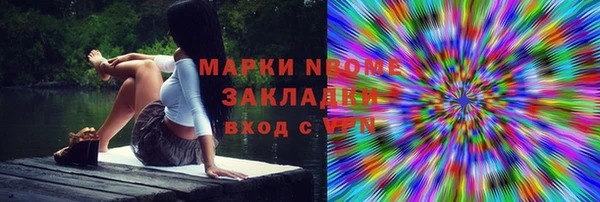 сатива Алзамай