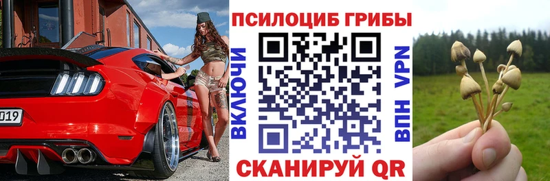 Псилоцибиновые грибы мицелий  Купить закладки  Петрозаводск 